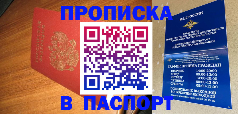 прописка 2025 в Мурманске